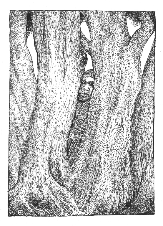 Trees in Bharatpur